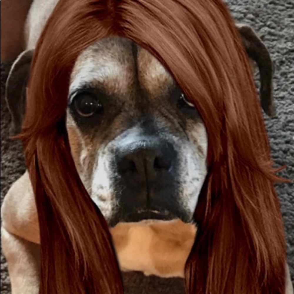 Meet your Posher, Wendy